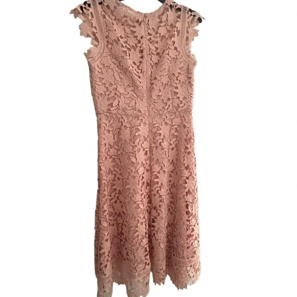 Eliza J Asymmetrical Size 6 Lace Dress in Blush - Picture 2 of 3